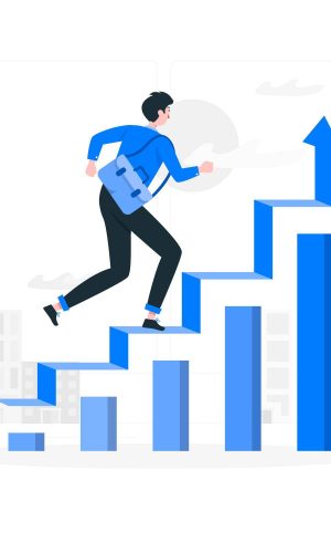 déménagement pau réussi